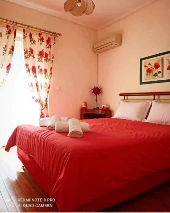 Apartament Ομορφο Διαμέρισμα Κοντά Στο Σταθμό Δουκίσσης Πλακεντίας Ateny Zewnętrze zdjęcie
